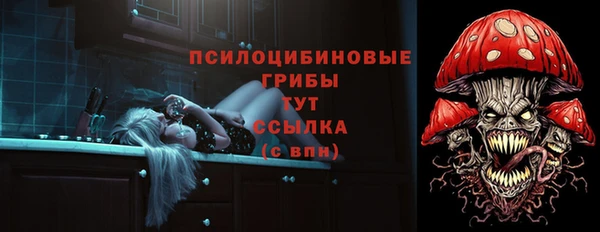 apvp Армянск