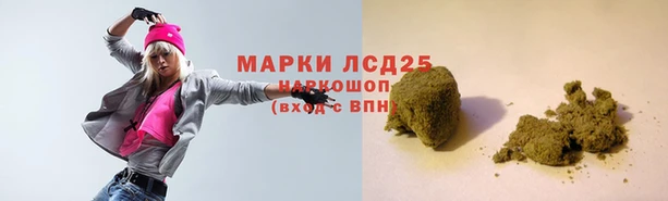 прущие крисы Аркадак