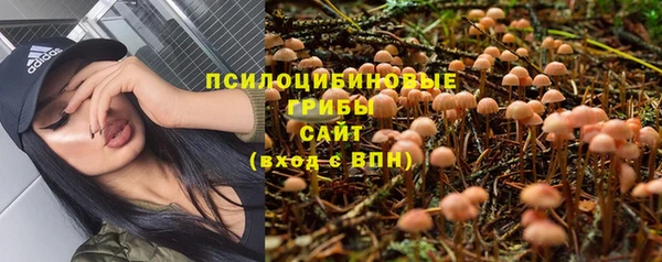 apvp Армянск